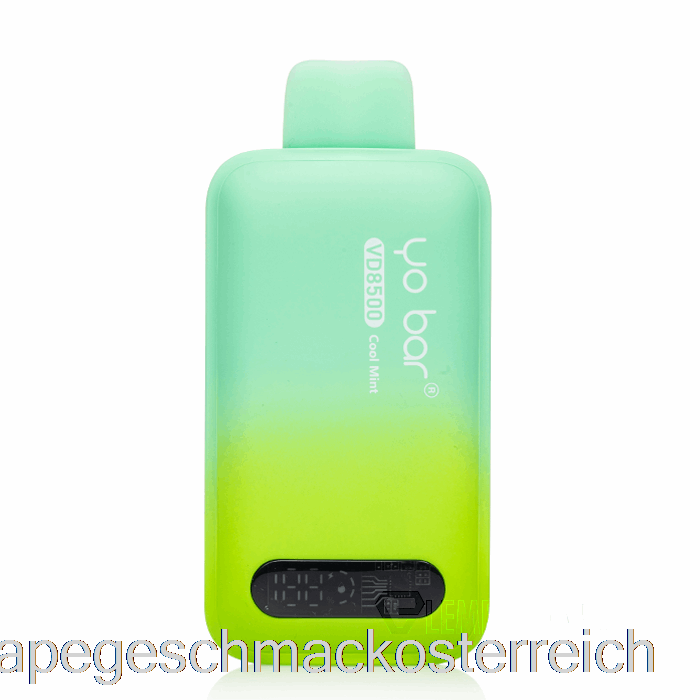 Yo Bar VD8500 Einweg-Cold-Mint-Vape-Geschmack